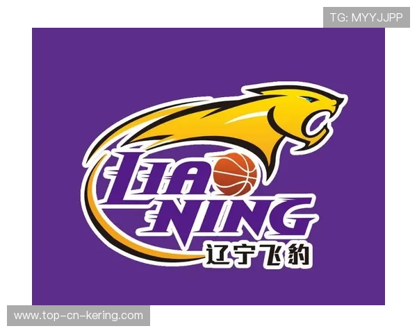 CBA球队品牌认同为何在本地难以建立，cba品牌标志